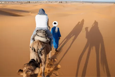 transportation